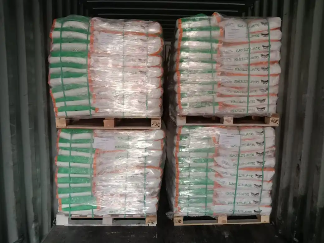 Container stuffed Picture.jpg