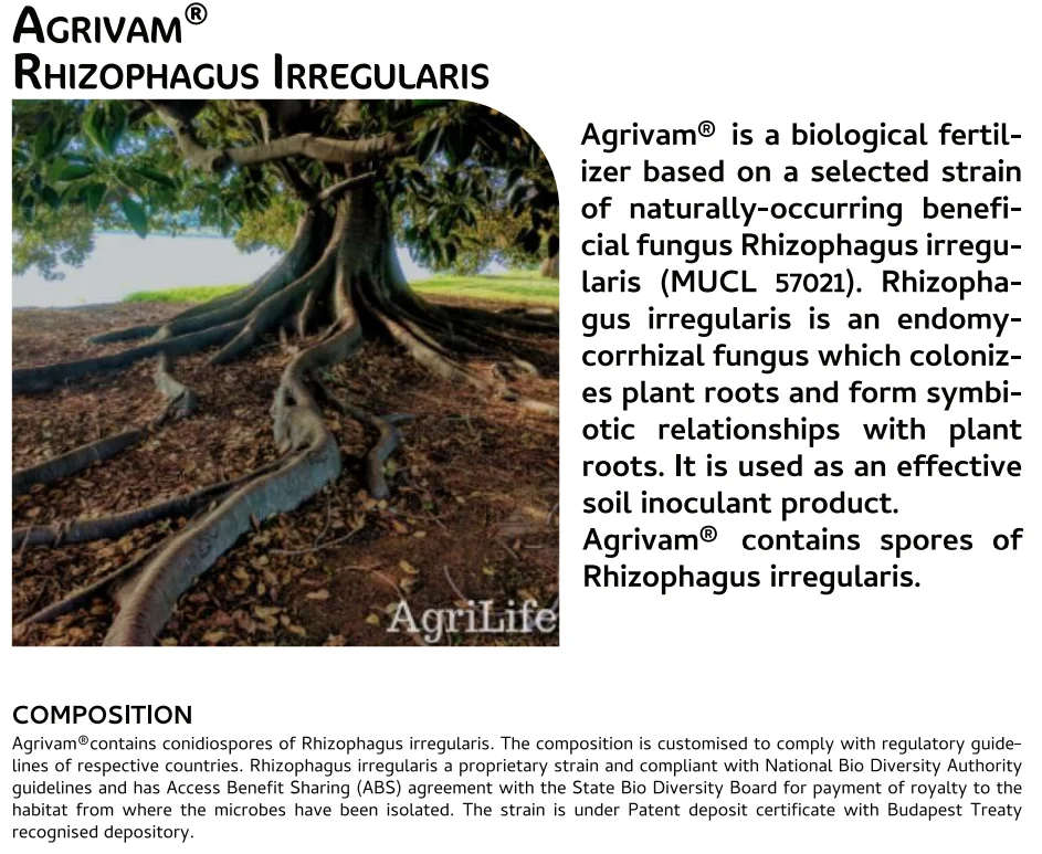 Screenshot (1157).png