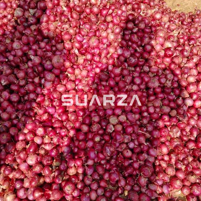 100% fresh red shallot onion/ seasonal red cepola onion are supplied to  all over the world /wholesale onion exporter