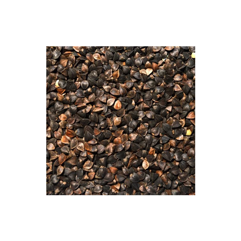 Индийские низкие цены, Семена Гречихи