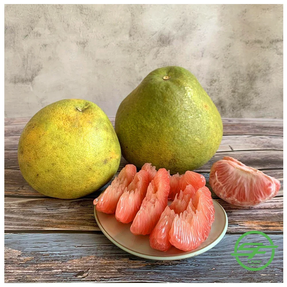 High Quality Citrus New Crop Grapefruit Pomelo