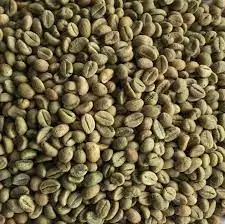 Индийские зеленые кофейные зерна Robusta Cherry C новый урожай промышленного класса