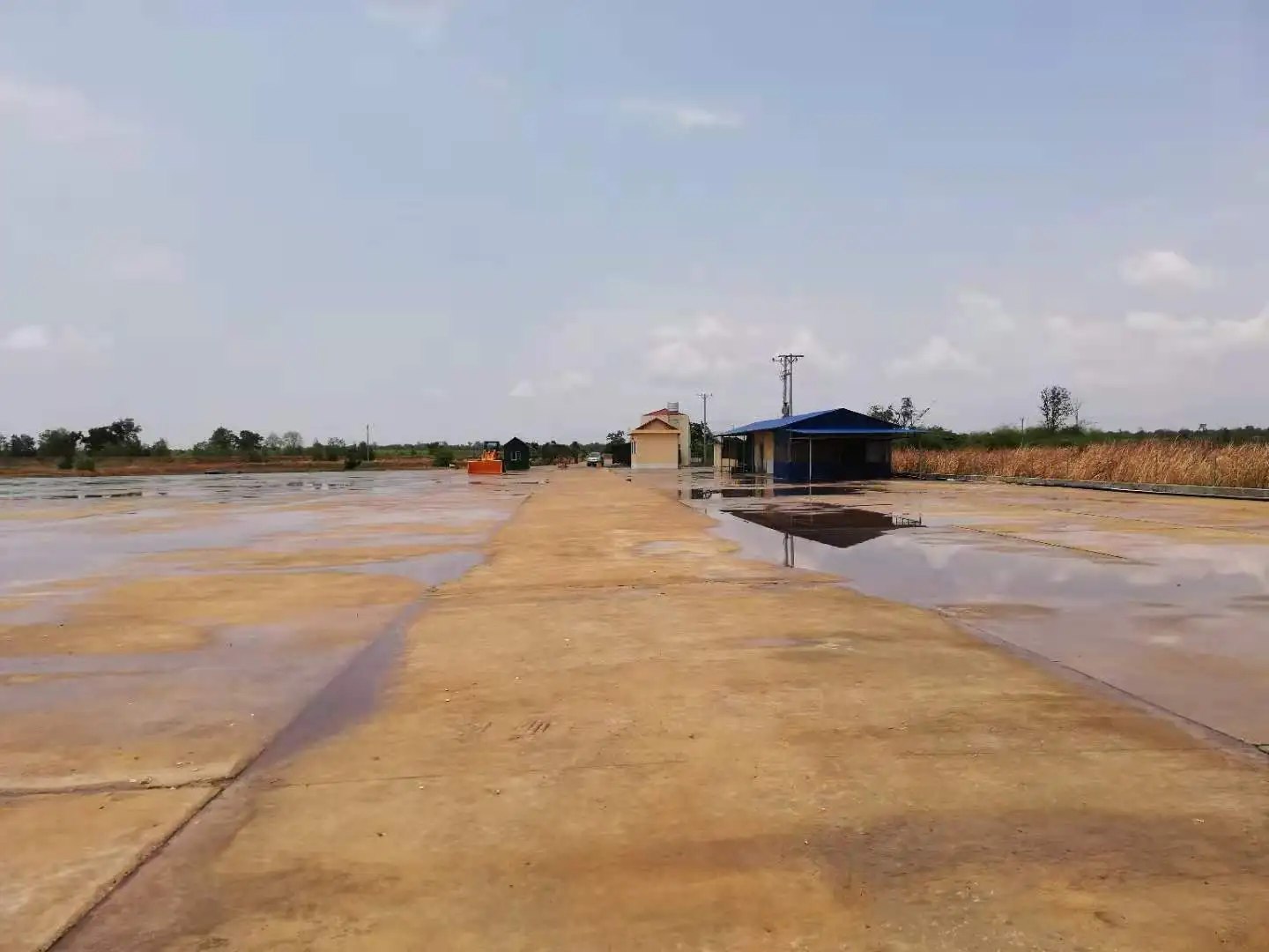 
Cassava Starch Tapioca Flour and Pellet 