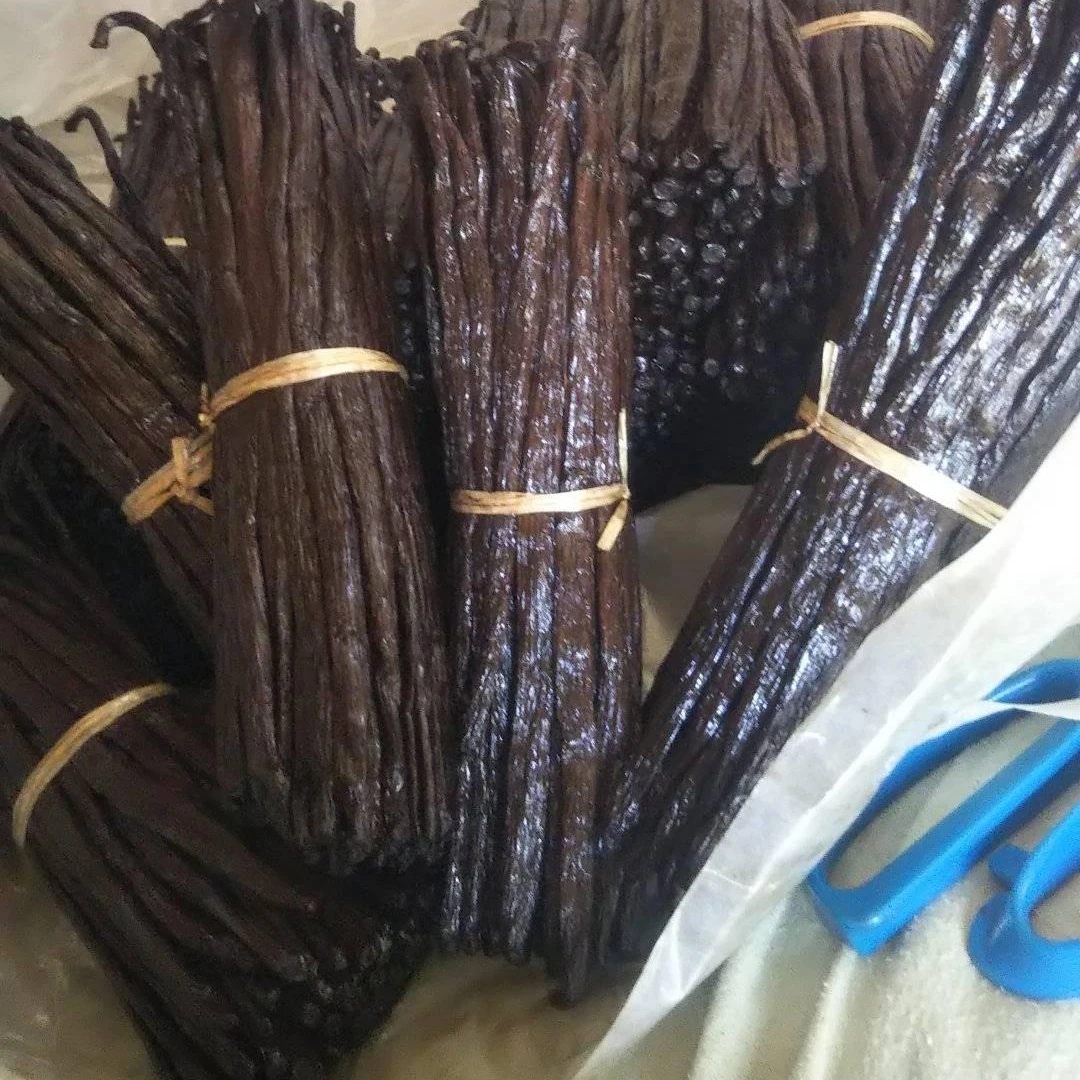 Top High Quality Whole Vanilla Beans