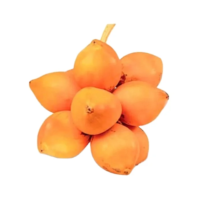 High quality Organic King Coconut Drinking Water from Sri Lanka cheap price