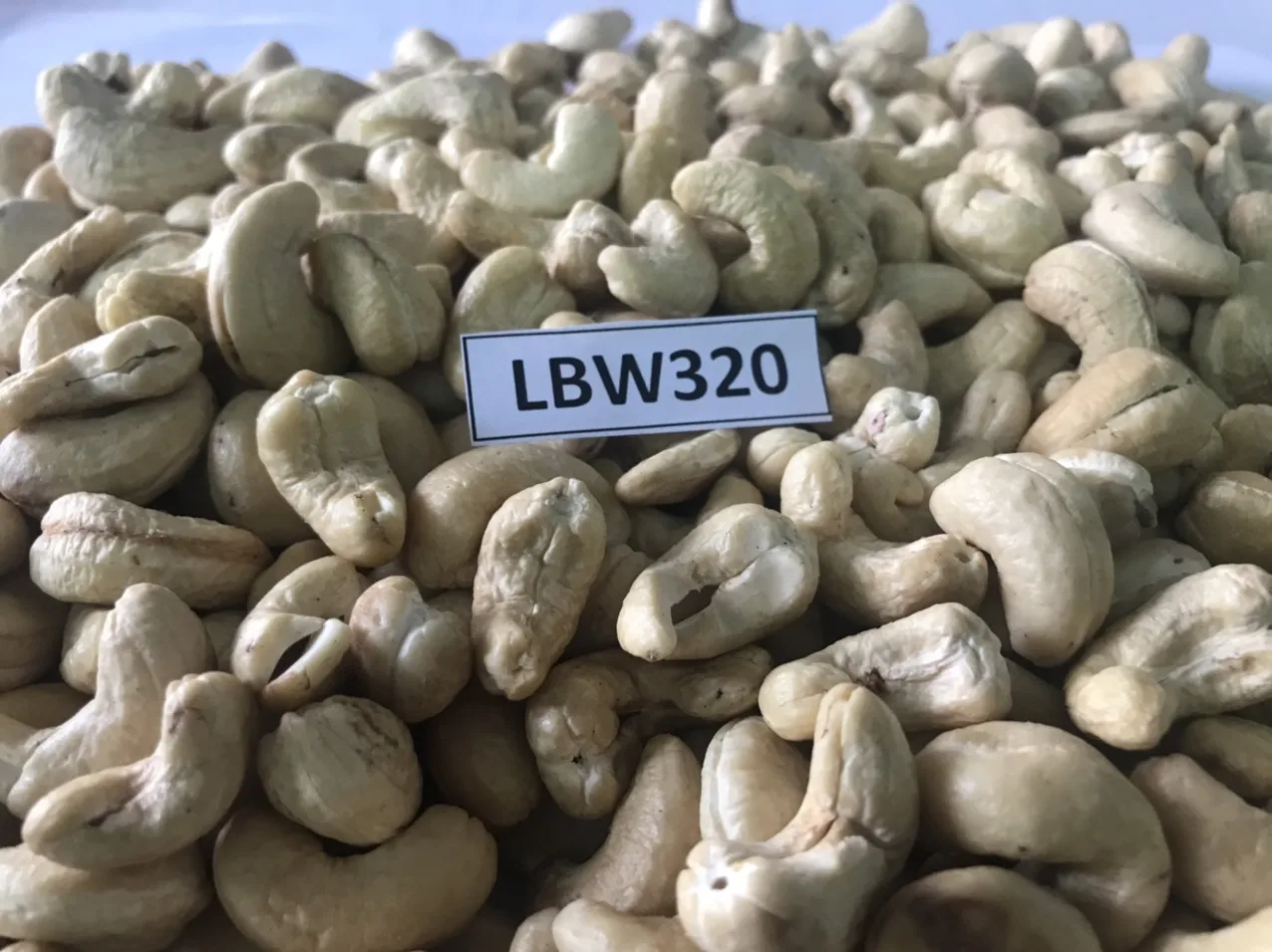 100% natural no additives nuts kernels dried cashew on sale W180 W210 W240 W320 W450 WS LP