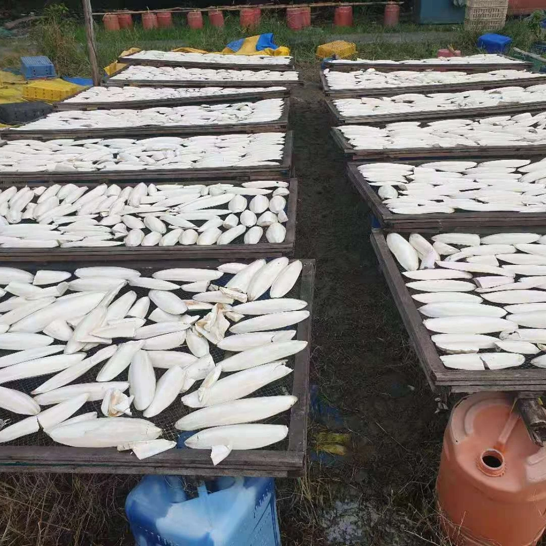 Лучшая косточка Для сушеных морских слепков сделано в Вьетнаме высокое качество 100% натуральные оптовая продажа морепродуктов кости для