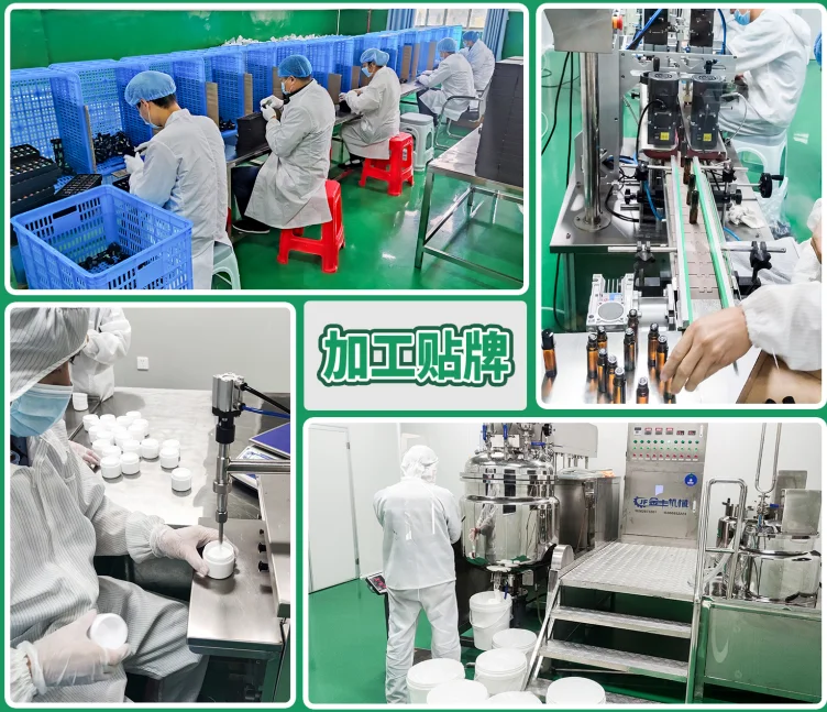 Baolin 100% Pure Therapeutic Grade Patchouli essential Oil for diffuser