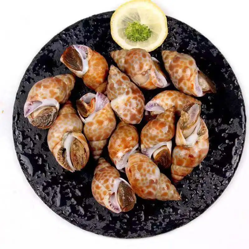 Замороженные Морские улитки