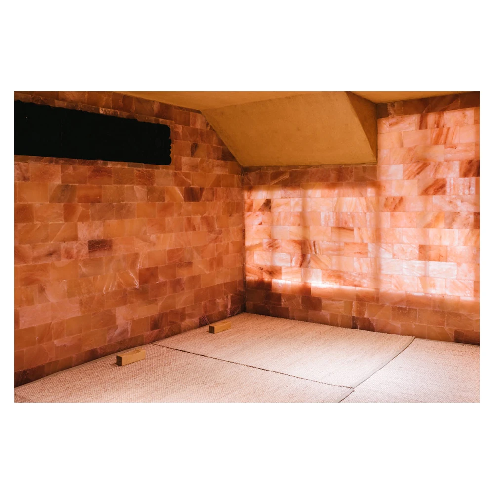 Best Price Himalayan Pink Salt BBQ Tile & Dark Pink Salt Bricks For SPA and Cooking Room Construction Bricks