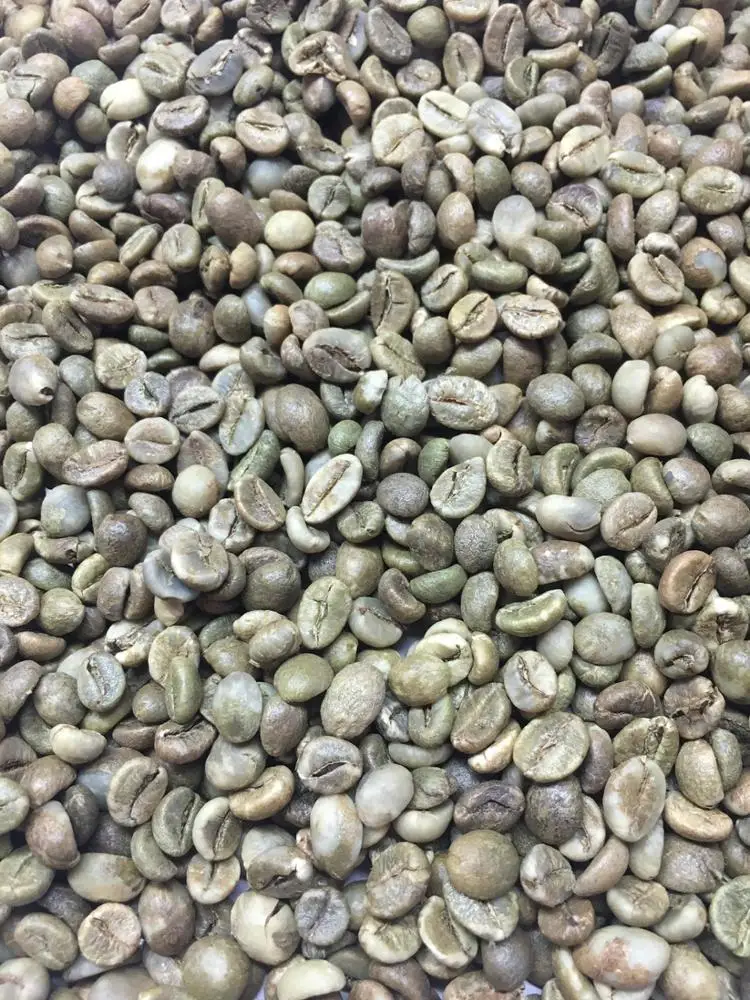 Green coffee helps to lose weight/ whatsapp +84 845 639 639