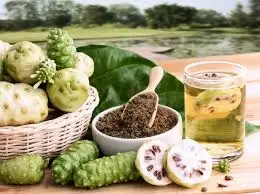 Сушеные Продукты Noni высокого качества и по лучшей цене с высокими питательными веществами // Ms Sofia + 84 789946878