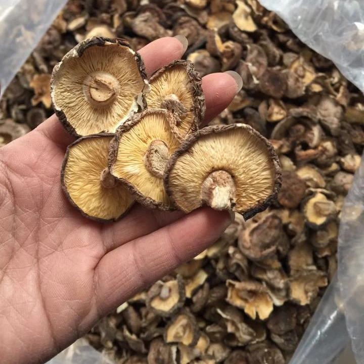 Сушеные блюда shiitake, гриб shiitake, рецепты для приготовления пищи/Hana + 84 901 006 904