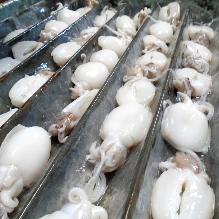 ATL GLOBAL - SKINLESS очищенная закуска для морепродуктов сушеный кальмар высокого качества из Вьетнама (Whatsapp: + 84975262928 Хелен)