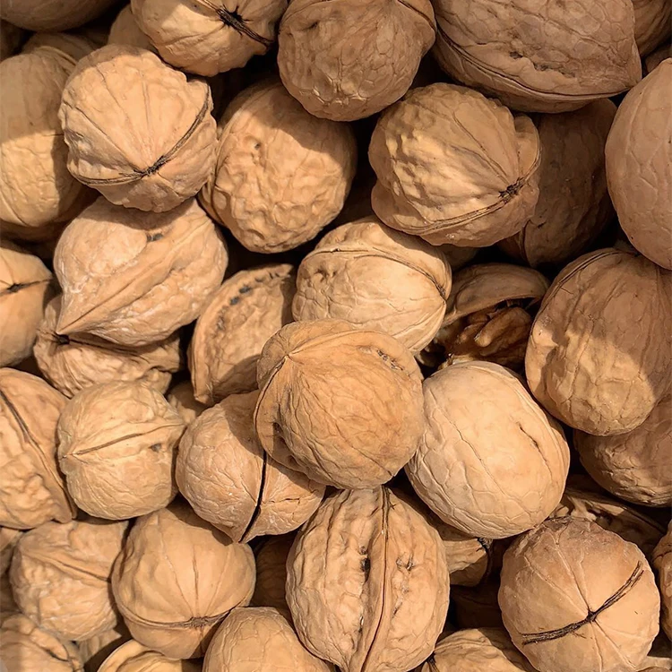 Hot Selling Product Walnut Half Kernel Nut China Walnut Kernel