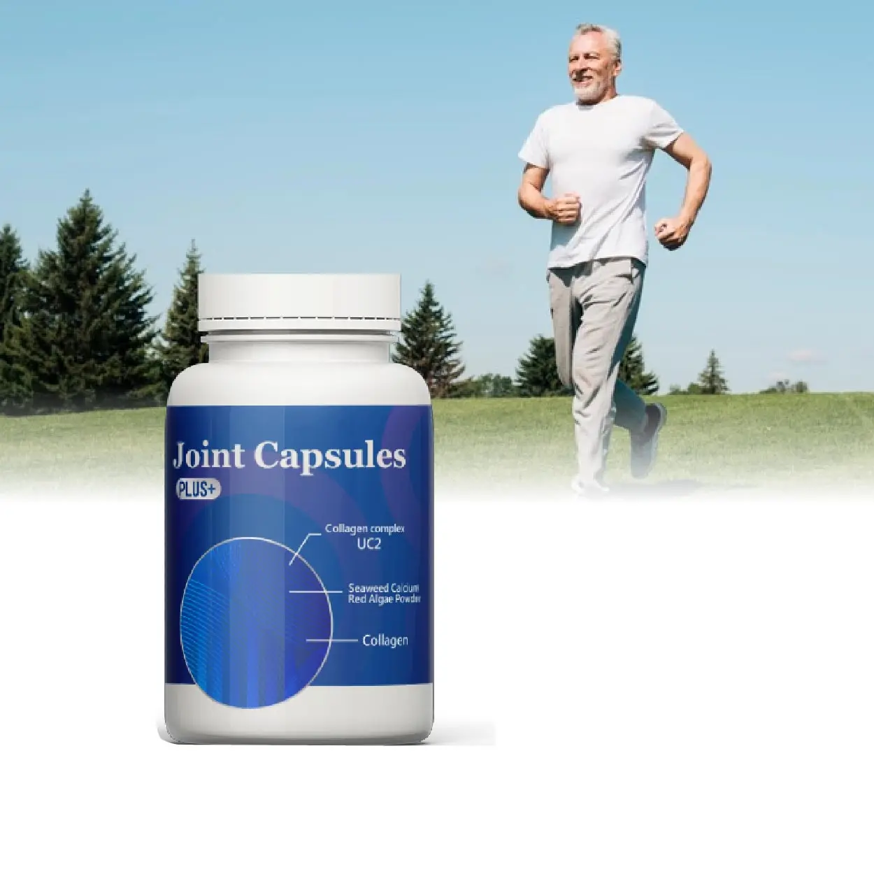 Private label l-arginine glucosamine msm strengthen circulation msm powder