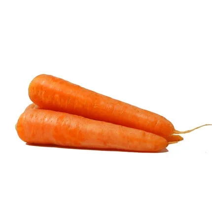 New crop fresh organic vegetables wholesale carot/carrot seeds price of carrots in bulk for export