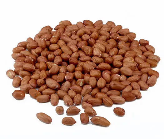 
GROUNDNUT KERNELS BOLD 70/80 FROM NIK-MAY EXPORTS INDIA 