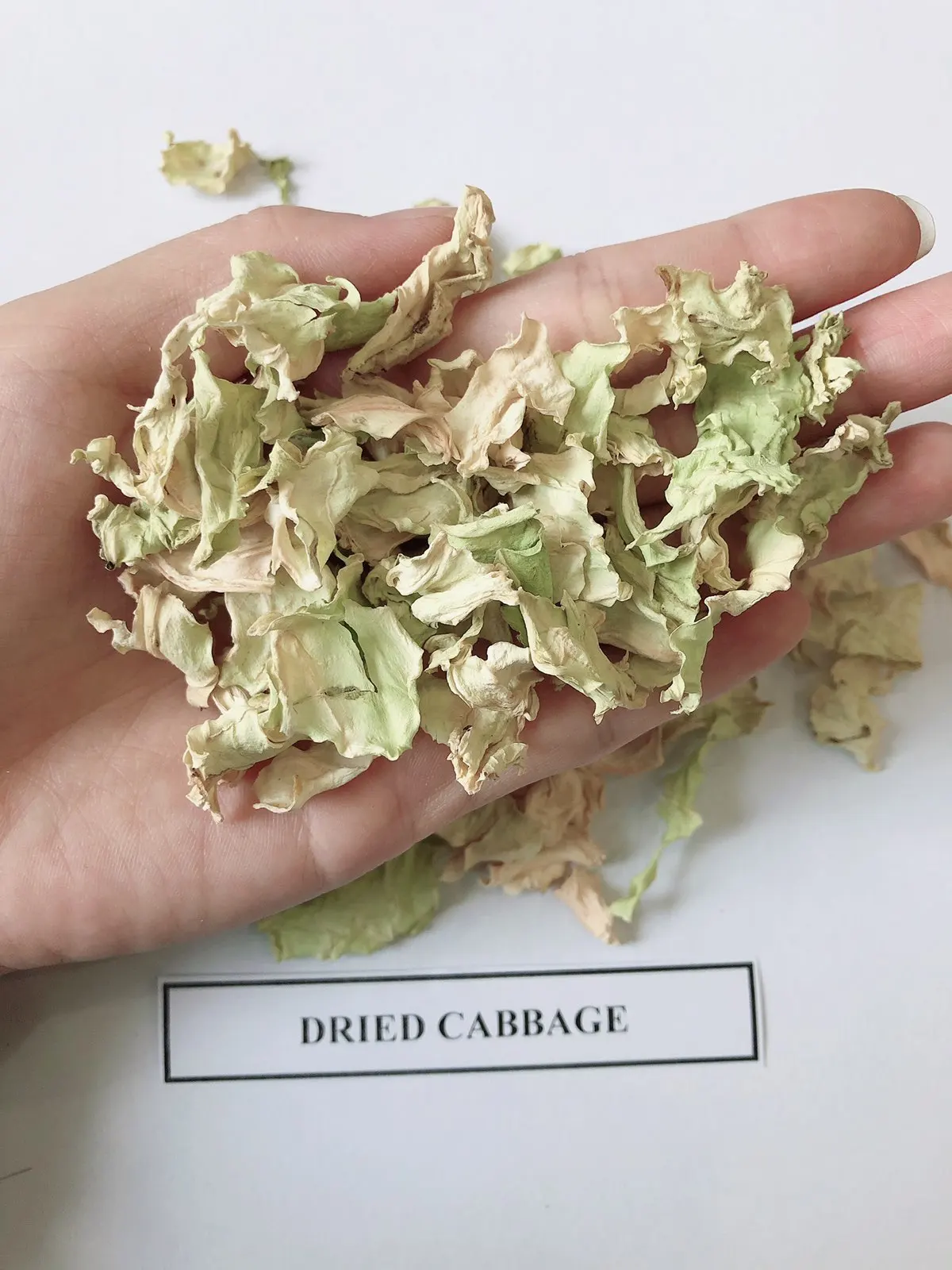 Dried Cabbage/ Dehydrated Cabbage High Quality for Cooking - WS 0084 989322 607