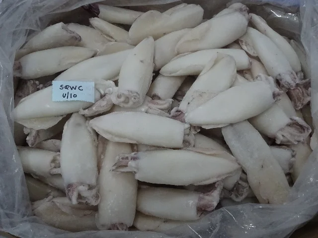 
SQUID WHOLE CLEANED SEMI NEEDLE 