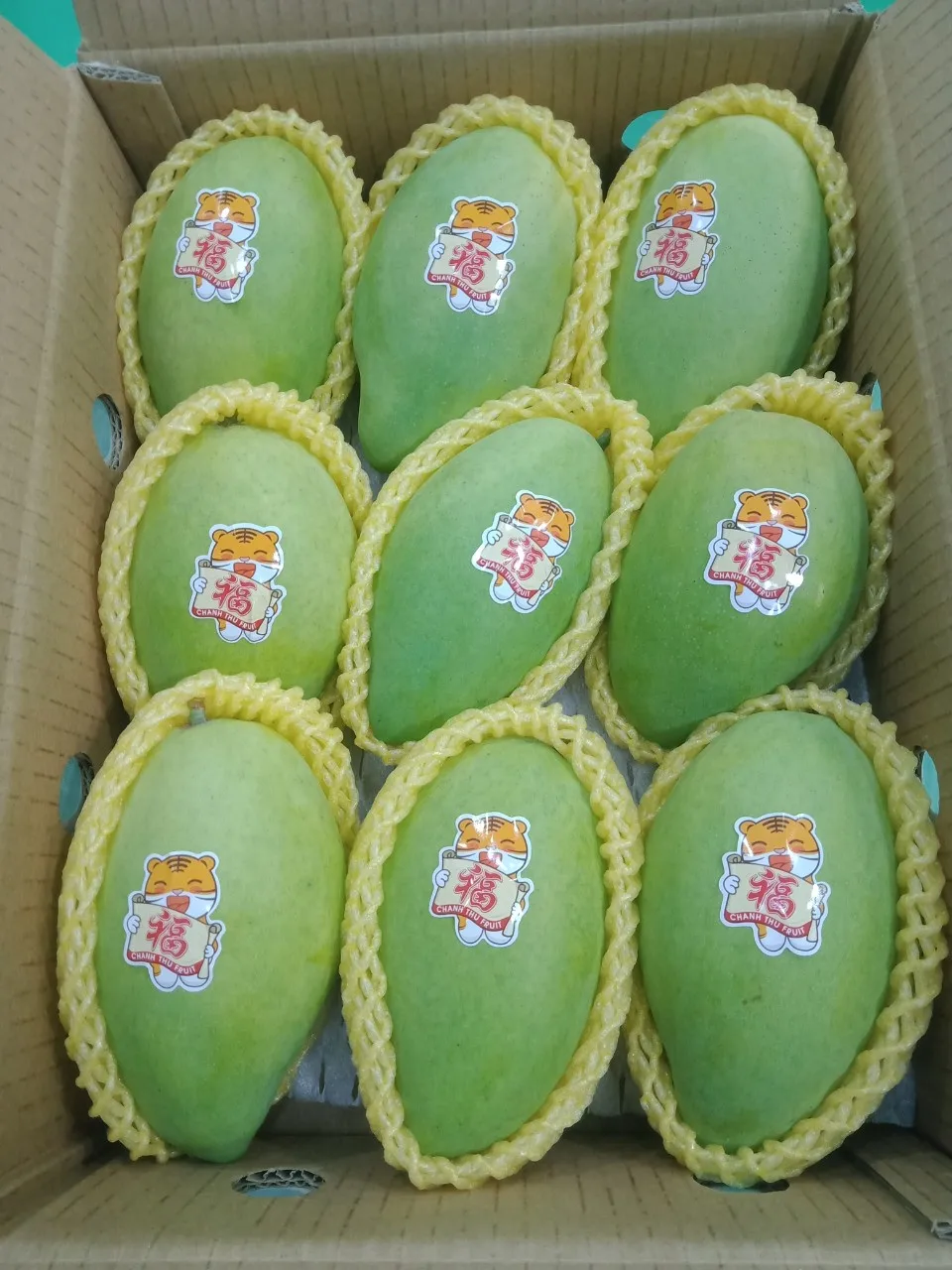 High Quality Carton Box Packaging Green Color Common Cultivation Type Sweet Taste Mango Export From Vietnam