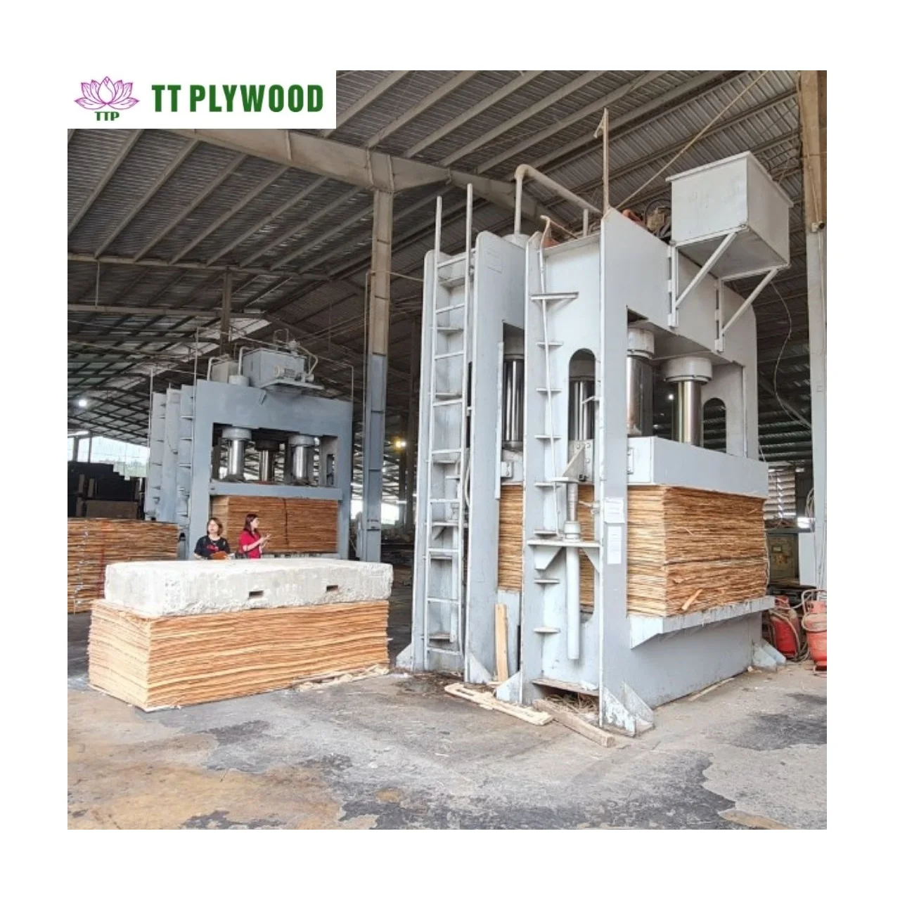 High Quality 7-Ply Double-Sided Decoration Film Faced Phenolic Plywood Type Eucalytups 12mm Melamine Veneer Board Vietnam