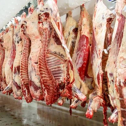 Buy Halal Cow beef Meat For Sale