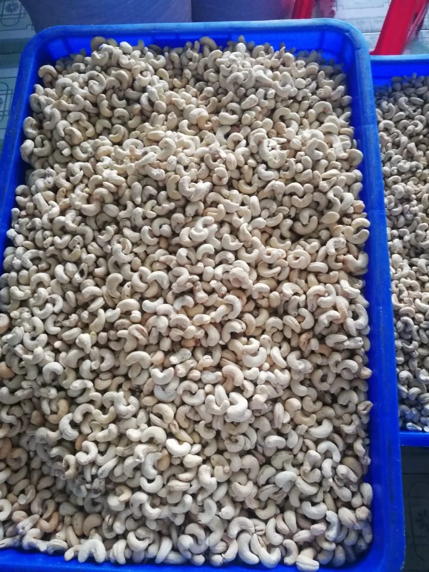 100% Processed VIetnam Organic natural nuts, organic cashew nuts All Grades WW, WS, BB, SW, SK  - Export to Worldwide
