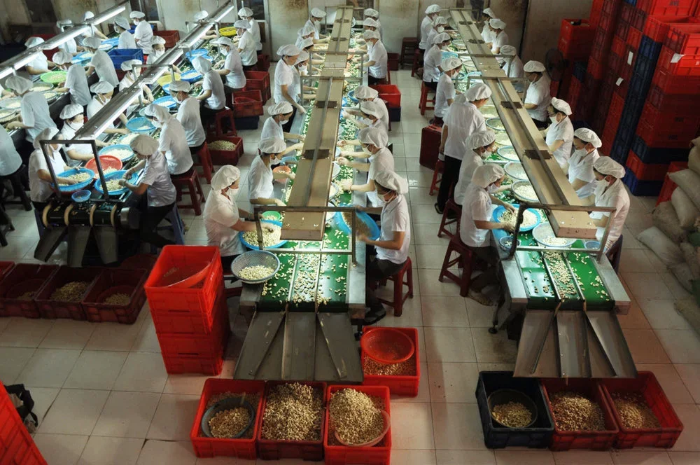 Орошенные соленые орехи кешью W320