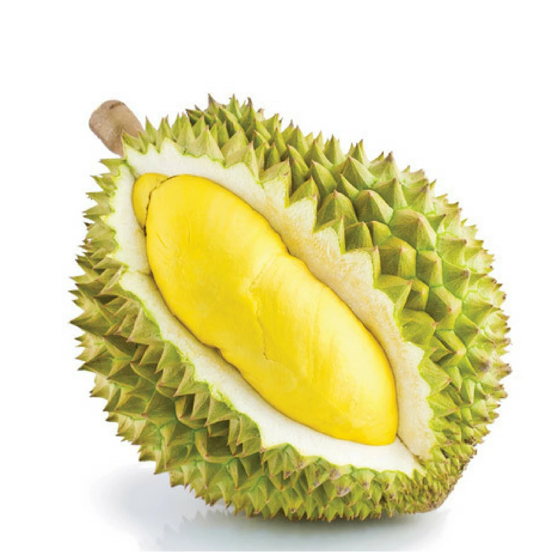 Durian Lovers Must Try Hok Durian Coffee High Quality Product From Thailand Instant Coffee Blended With 24 Beneficial Extracts