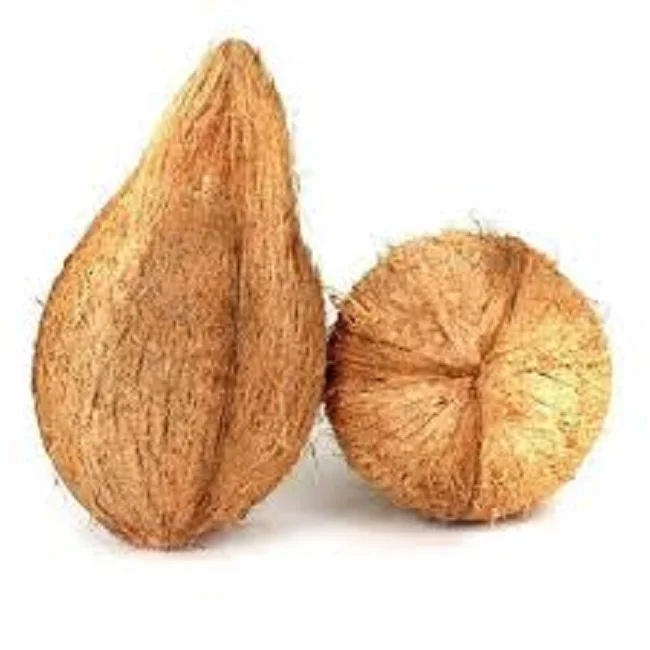 
semi husked coconut 