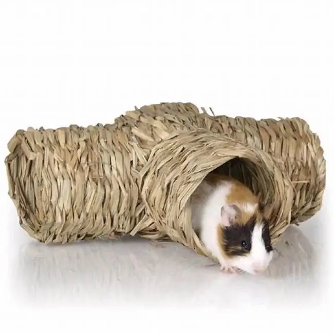 2022 New design natural wicker woven rattan pet dog