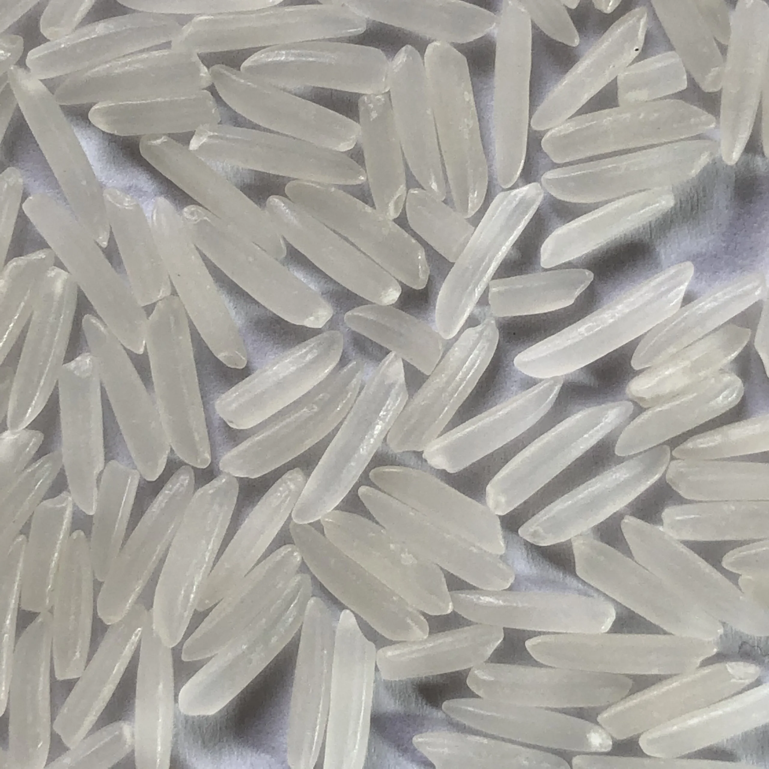 Soft Texture and Perfume sweet kind ST25 RICE