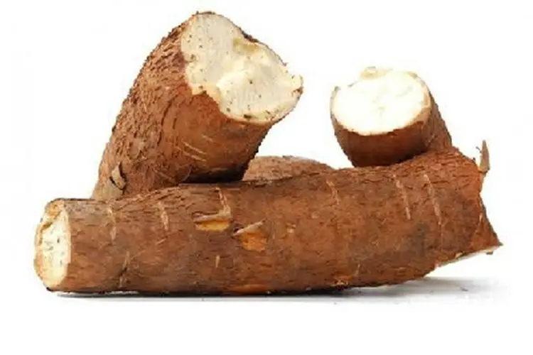 Buy online fresh cassava