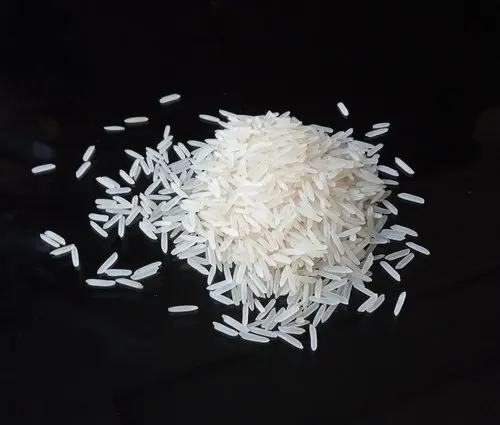 1509 SELLA WHITE BASMATI Wholesale Factory Price 1509 Factory Supply Rice Rich Quality