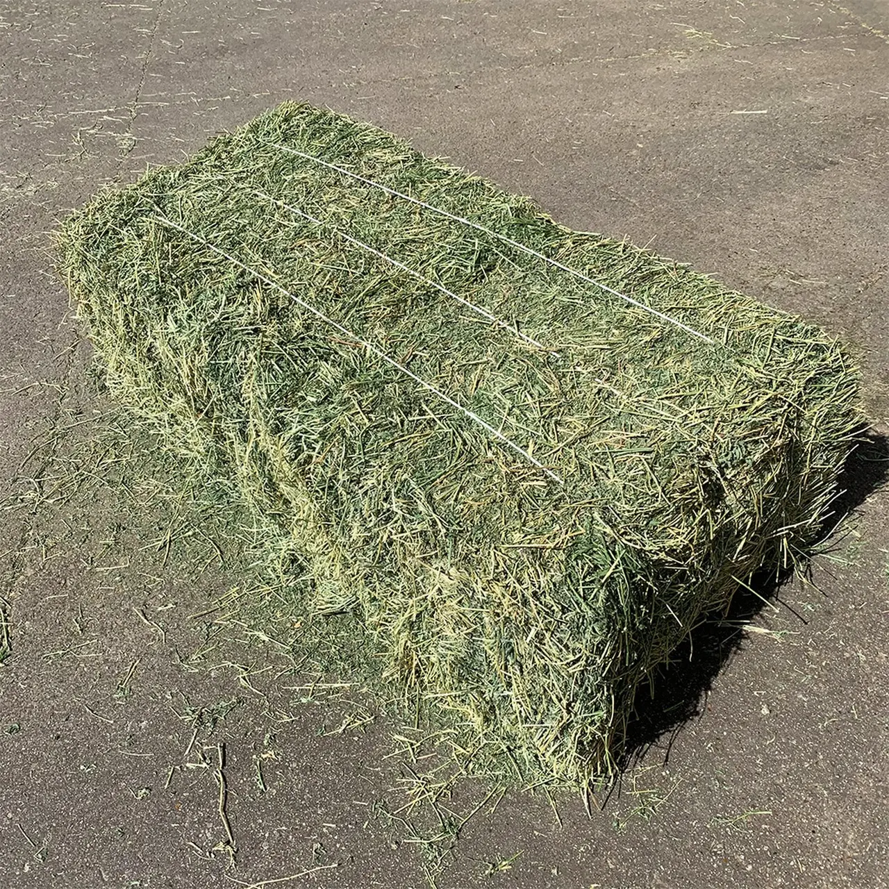 We Sell Top Quality Premium Alfalfa Hay, At Low Price