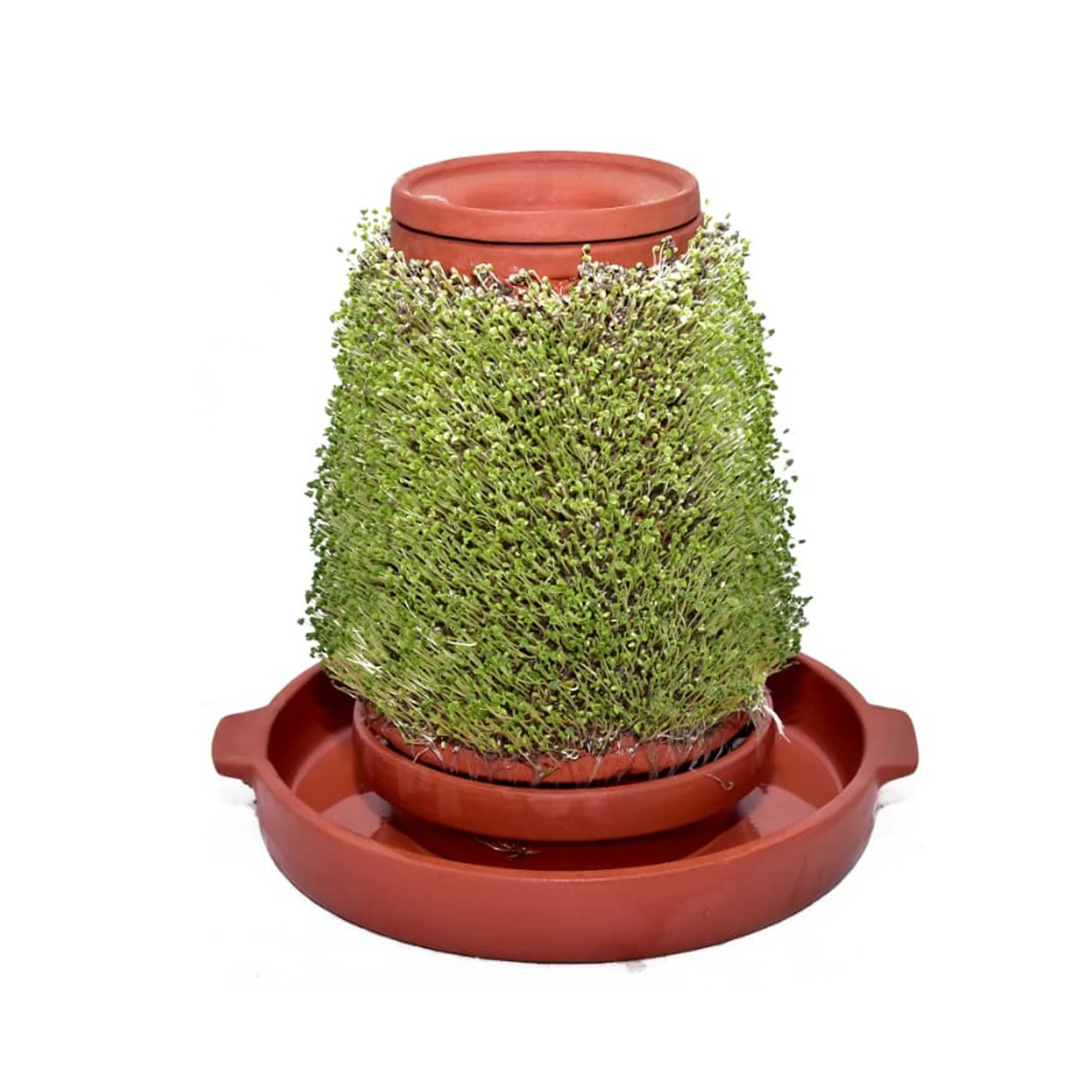 100% Natural clay cup saucer planter terracotta indoor planter brown terracotta plant pots at good price and popular demand