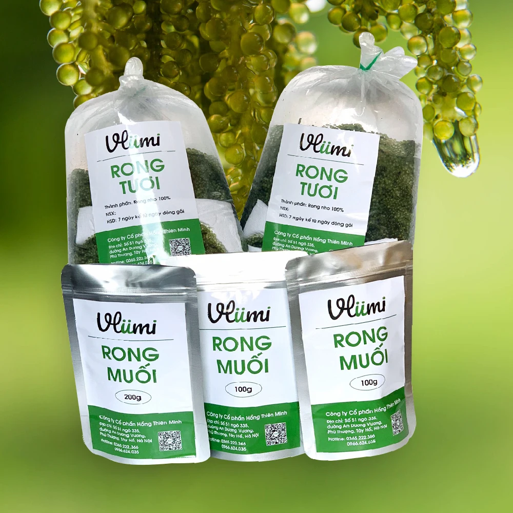 
 Производство Зеленого 100% органического сушеного морского винограда с 6 месяцами срока годности сделано во Вьетнаме  