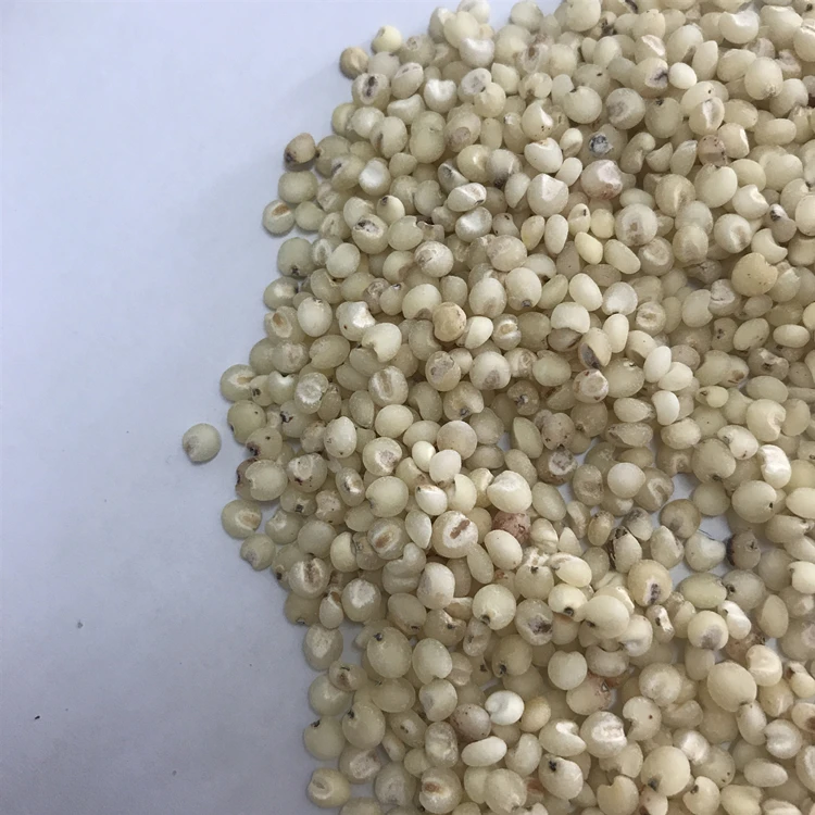 Распродажа 100% сушеные органические зерна белого сорго очень дешево для продажи