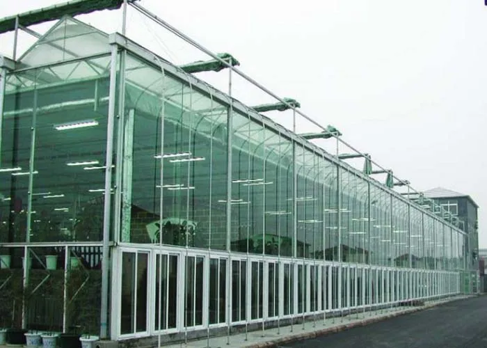 Agricultural Venlo Glass Green house for commerical