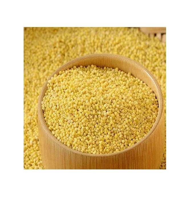 Best Quality Wholesale Millet For Sale In Cheap Price
