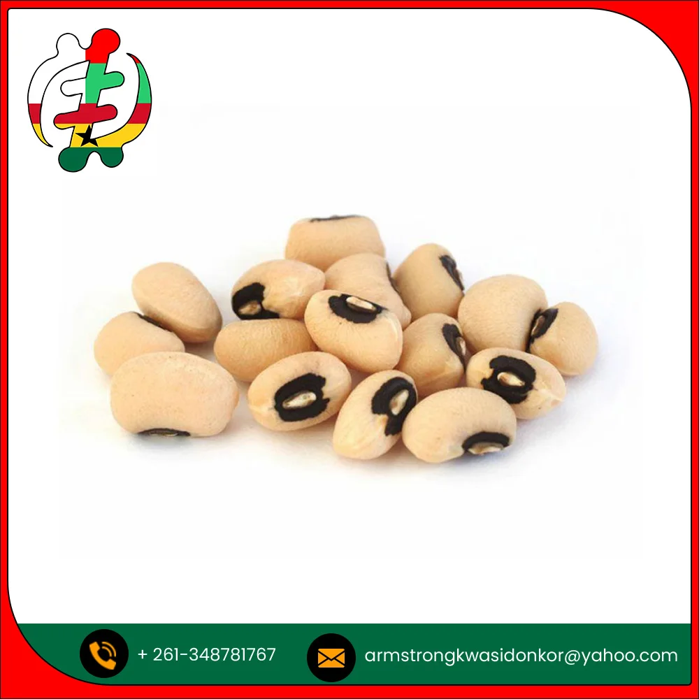 Оптовая продажа бобов для глаз черного цвета с высокой степенью чистоты по оптовой цене