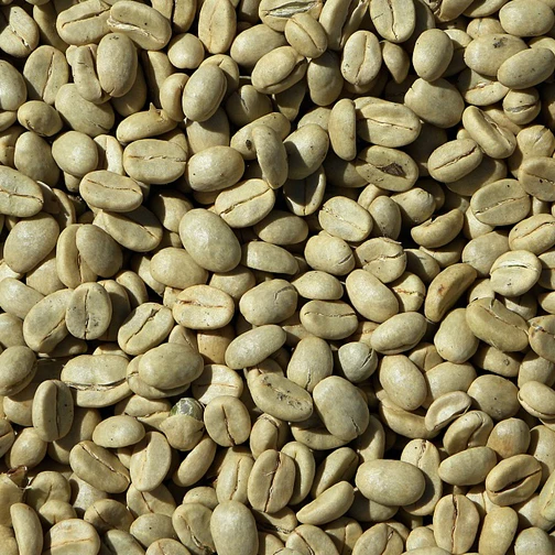 
Arabica - premium arabica coffee beans / ground coffee 