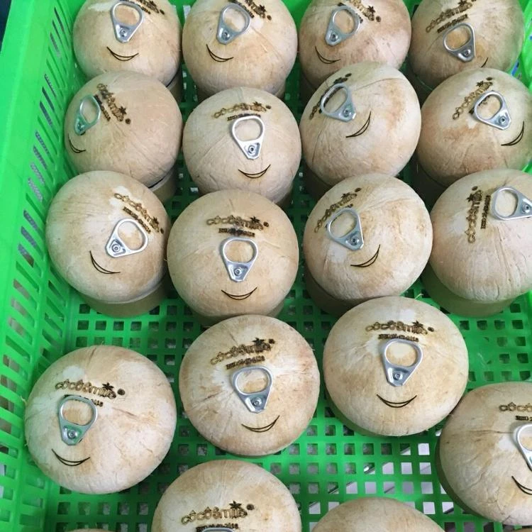 Дешевая цена зеленый кокос свежий молодой сладкий