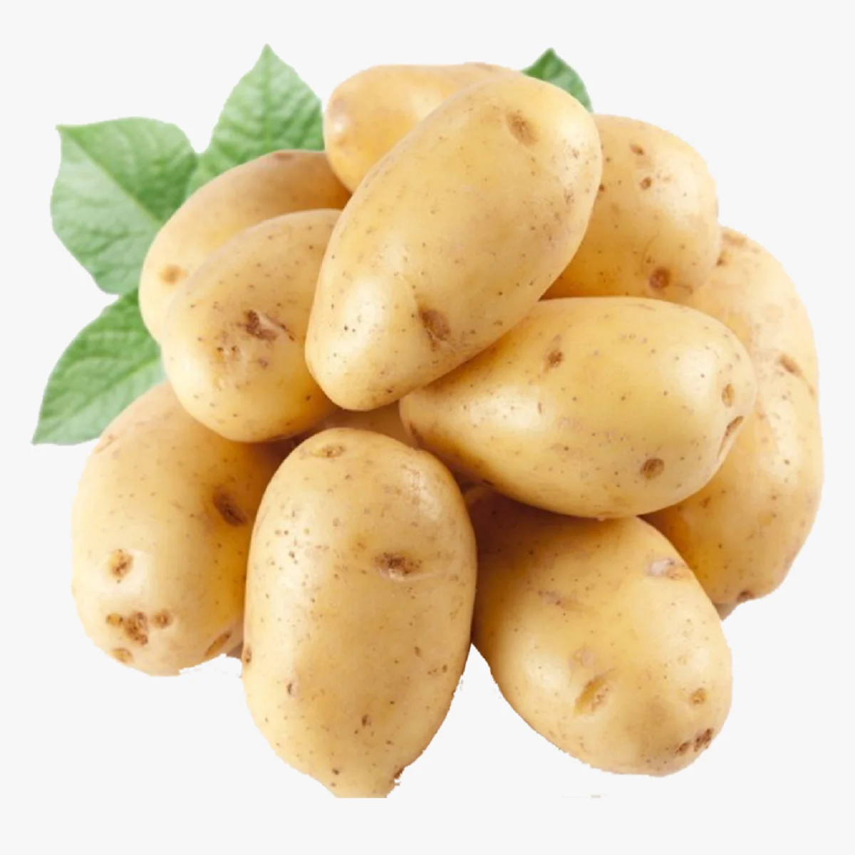 Premium Quality Bangladeshi Organic Fresh Potato in a Wholesale Price