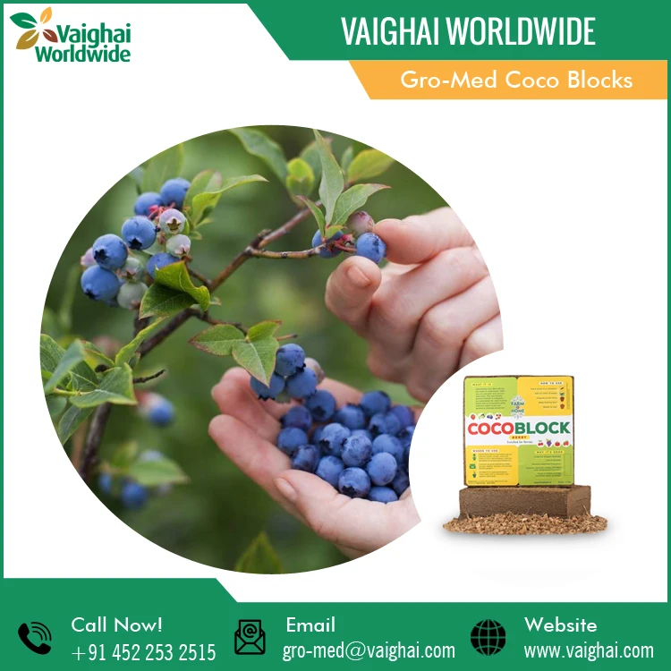 Top Grade Quality Biodegradable Coco Peat Coir Fiber Pith Blocks in Bulk