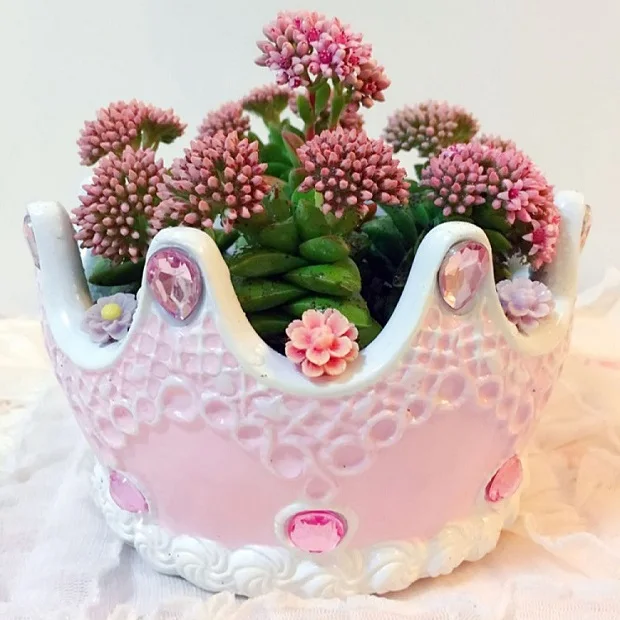 
Creative european-style crown ceramic flowerpot with tray of succulent planter customized by Chinese manufacturer 