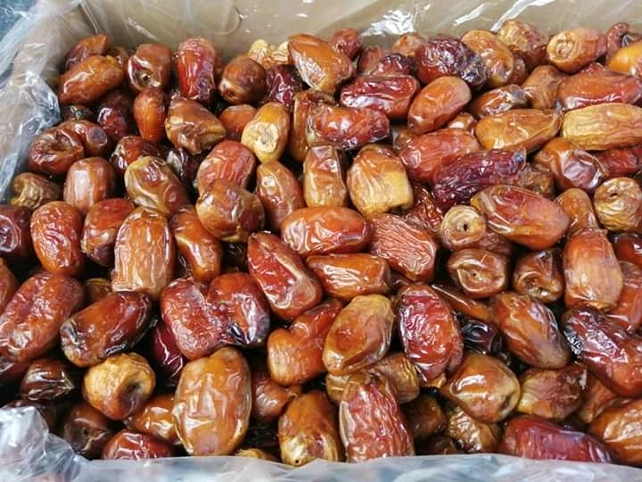 Premium quality Egyptian semi dry Wahati dates for Export