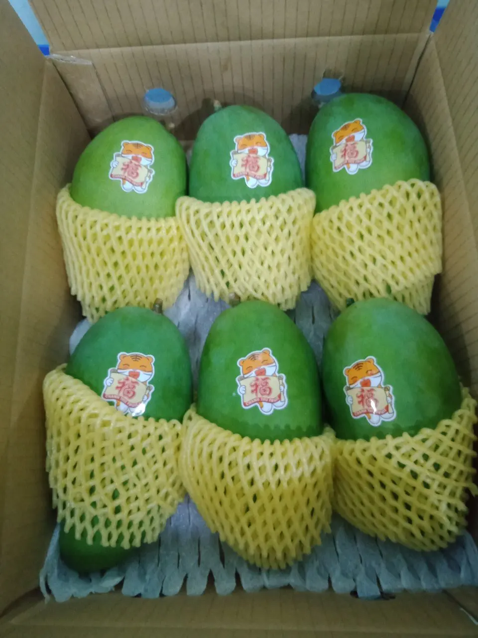 200-1100g/fruit High Quality Carton Box Packaging Green Color Common Cultivation Type Sweet Taste Mango Export From Vietnam