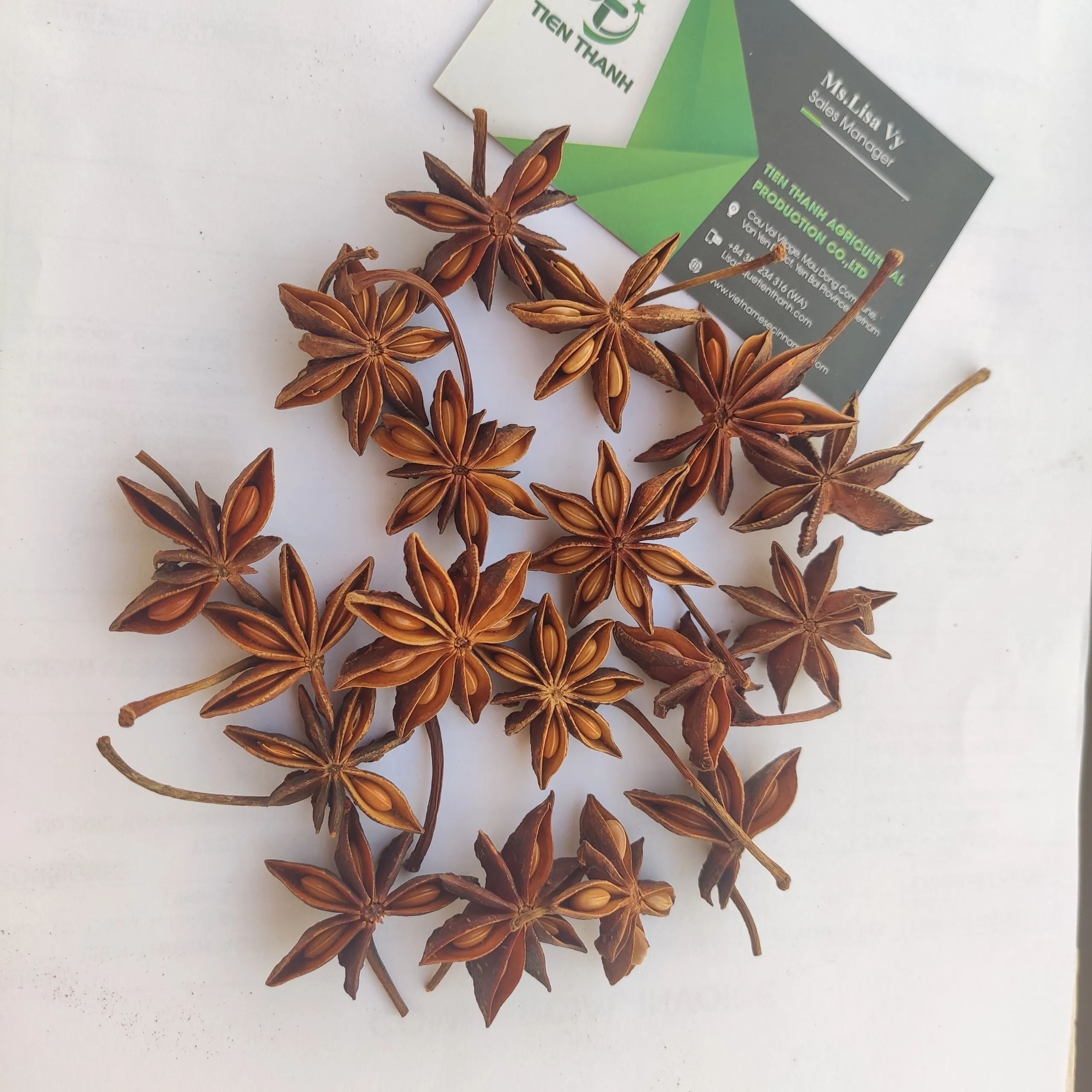 Whole Star Aniseed/ Star Anise Price/ Anis En Polvo New Crop 2022